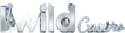 Iwild  Casino
